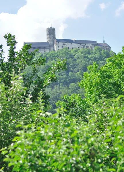 Château sur la colline. — Photo