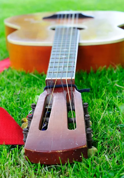 Eski gitar üzerinde çim döşeme closeup. — Stok fotoğraf