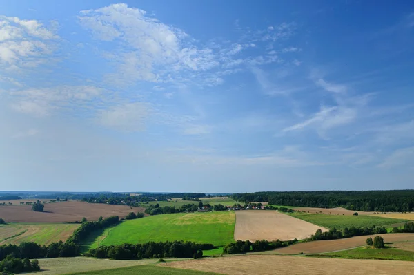 stock image Summer landscape