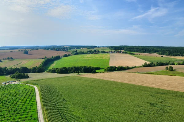 stock image Summer landscape