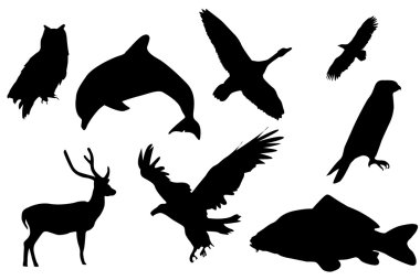 Black silhouette of animals clipart