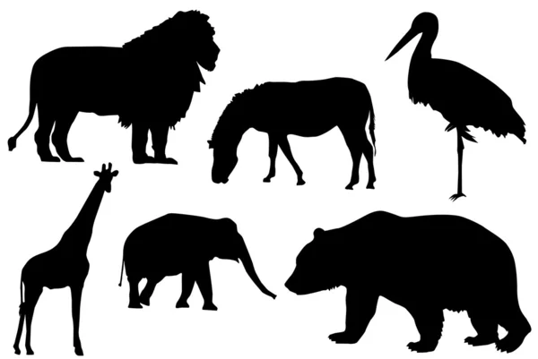 Silhouette of wild animals — Stock Vector