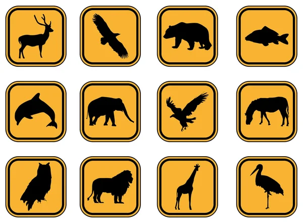 Ikony zwierząt. — Wektor stockowy
