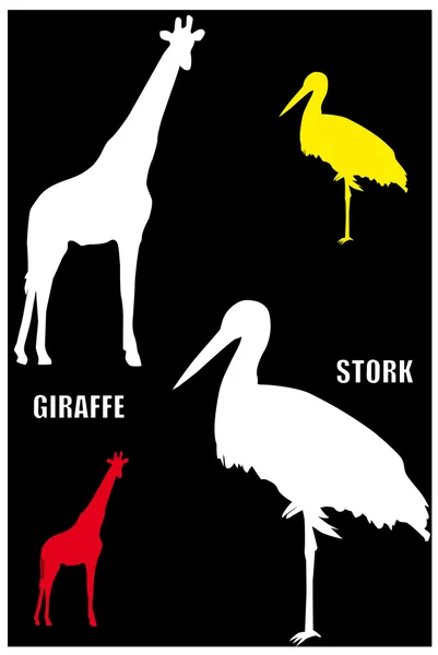 Giraffe and stork — Stock Vector