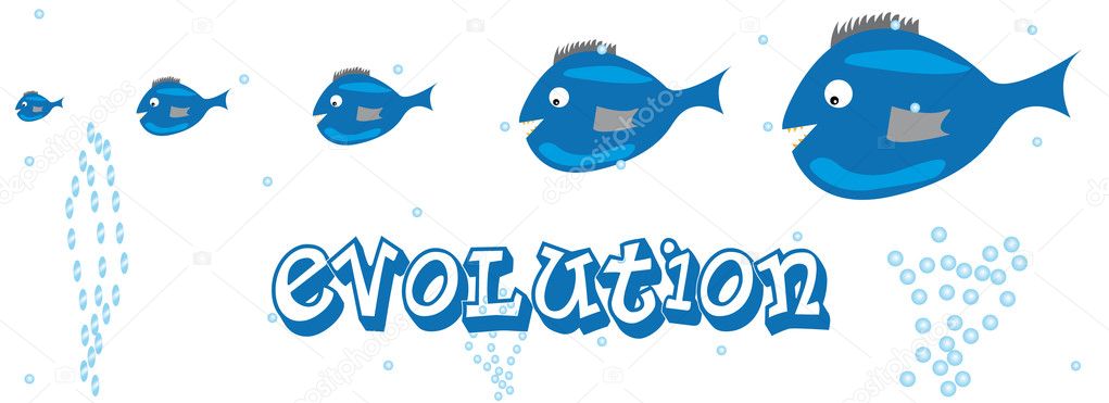Fish evolution