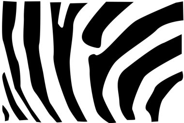 zebra kürk desen