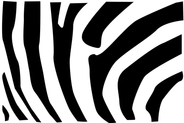 Modèle de fourrure de zèbre — Image vectorielle