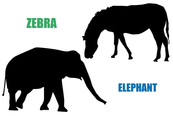 Zèbre et éléphant — Image vectorielle