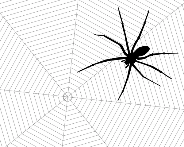 Spinnen en web. — Stockvector