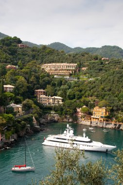 Portofino defne, İtalya