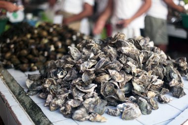 D'Talipapa balık ve deniz ürünleri piyasaya Boracay Adası