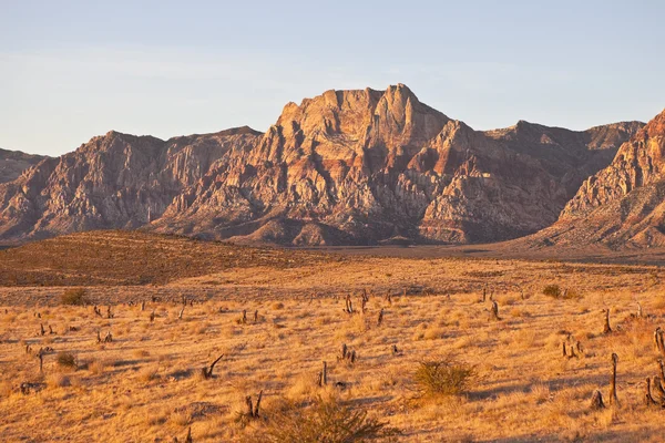 Warme zonsopgang woestijn licht — Stockfoto