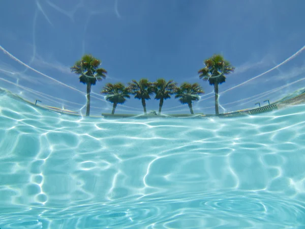 Underwater palm tree pool view abstrakt. — Stockfoto