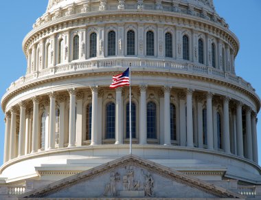 US Capitol Dome clipart