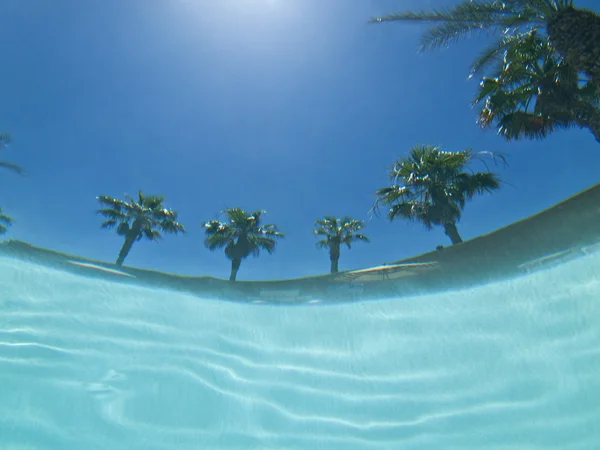 Abstrato subaquático com palmeiras — Fotografia de Stock