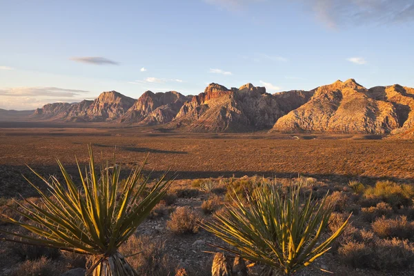 Warm dawn light at Red Rock National Conservation Area. — Stock Photo, Image