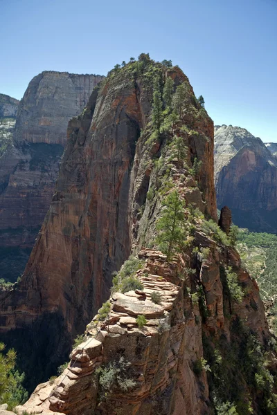 Atterrissage Zion Canyon de l'ange — Photo