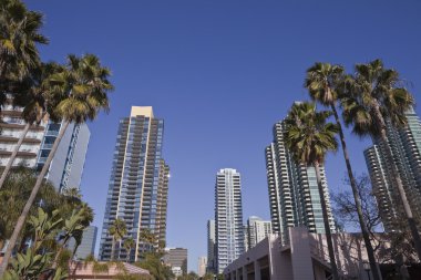 Modern San Diego clipart