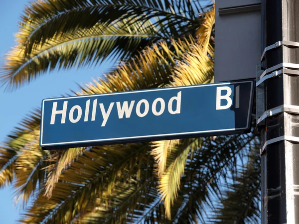 好莱坞大道棕榈树 — 图库照片