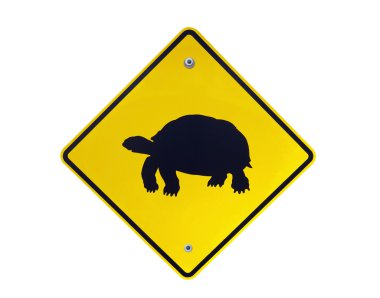 Kaplumbağa geçiş