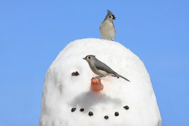 Birds On A Snowman clipart