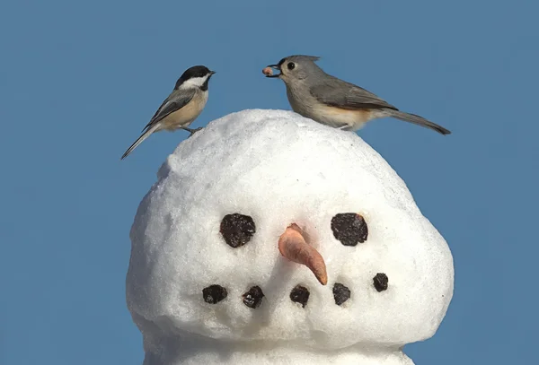 Twee vogels op een sneeuwpop — Stockfoto
