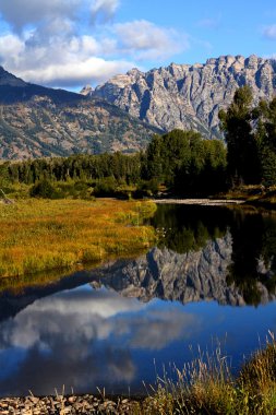 Schwabacher's Landing in the Grand Tetons clipart