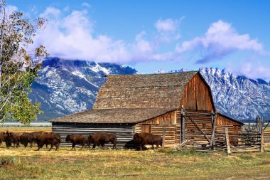 Mormon Row Barn in the Grand Tetons clipart