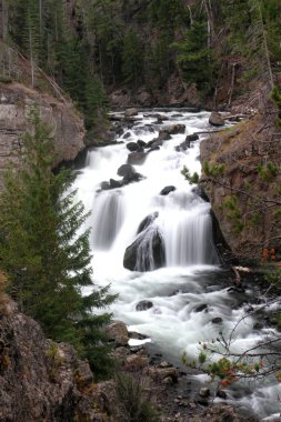 Yellowstone'da Firehole düşüyor