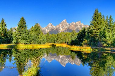 Schwabacher'ın açılış Grand Tetons