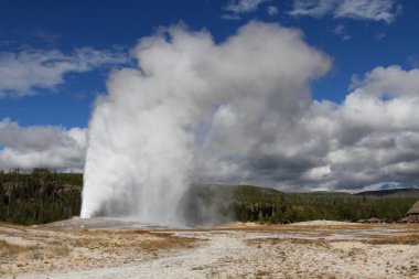 Old faithful Şofben