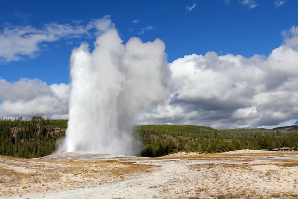 Vecchio fedele geyser — Foto Stock