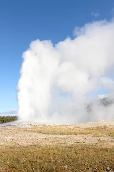 Gammalt troget geyser — Stockfoto