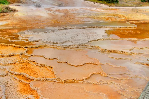 stock image Mammoth Springs In Yellowstone