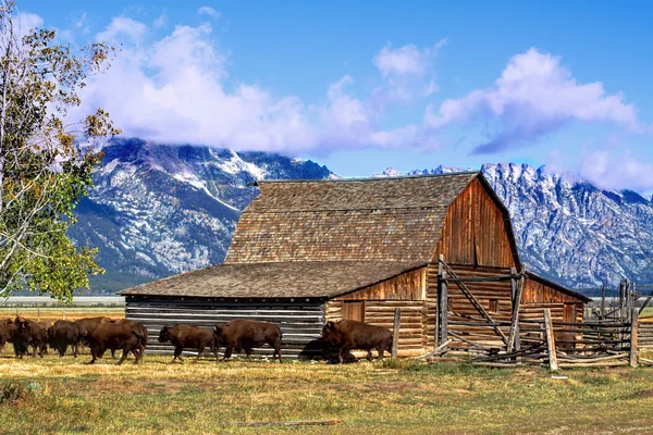 Мормонів рядок сарай в Гранд Tetons — стокове фото