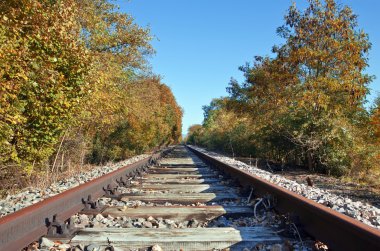 Railway in autumn forest clipart