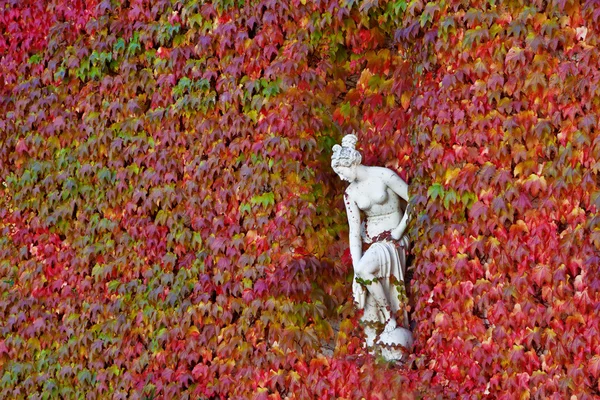 Скульптура женщины в стене осенних листьев — стоковое фото