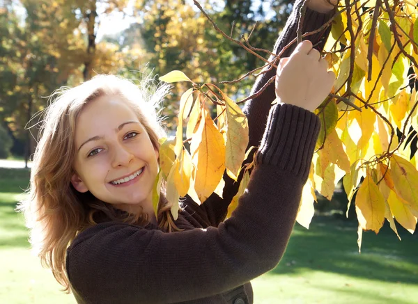 Portrait of a young girl in autumn park — Stock Photo, Image