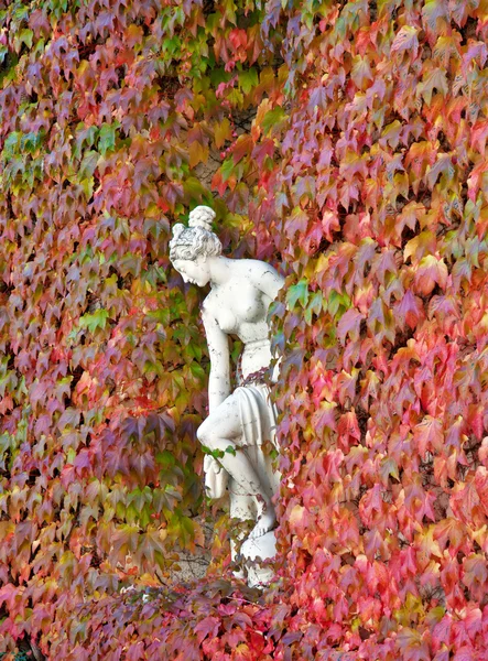 Sculptuur van een vrouw in de muur van de herfst bladeren — Stockfoto