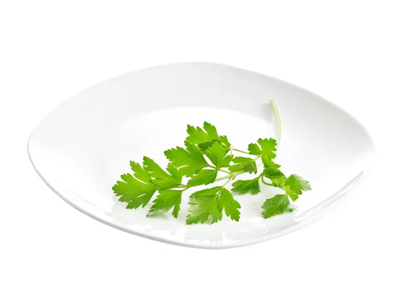 White plate with a sprig of parsley — Stock Photo, Image