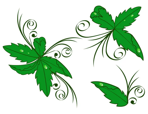 Conjunto de hojas verdes con gotas de rocío — Archivo Imágenes Vectoriales