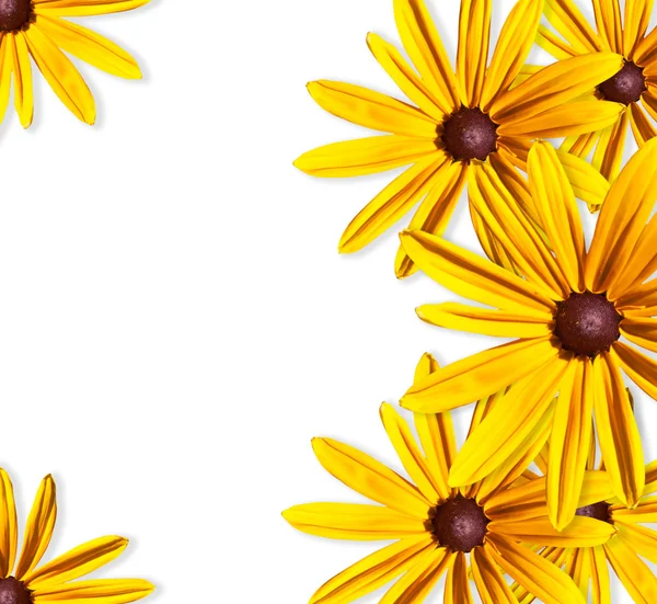 Marco de flores amarillas — Foto de Stock