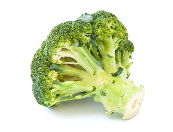 Brócolos, isolados sobre fundo branco . — Fotografia de Stock