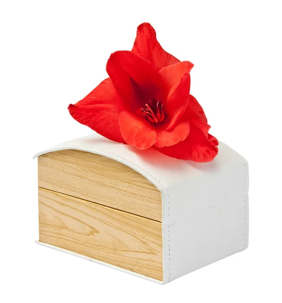 Gift box with flower gladiolus. — Stock Photo, Image