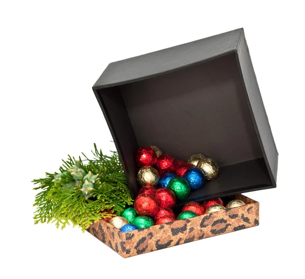 Pudełko z piłki czekolady i gałązką Żywotnik zachodni. — Zdjęcie stockowe