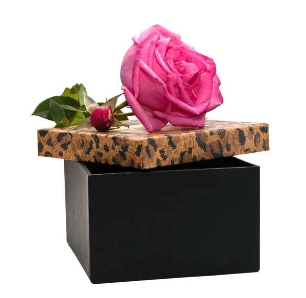 Подарочная коробка с розой на белом фоне . — стоковое фото