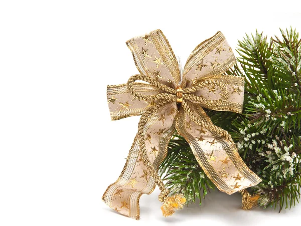 弓でクリスマス木の枝 — ストック写真