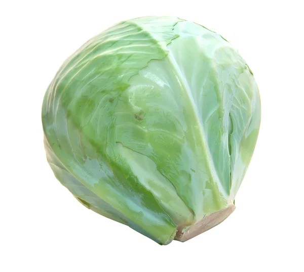 Cabbage isolated on a white background. — Stock Photo, Image