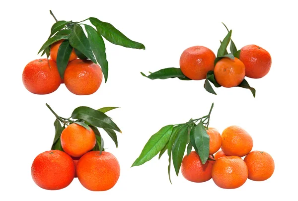 stock image Tangerines with leaves isolated on white background