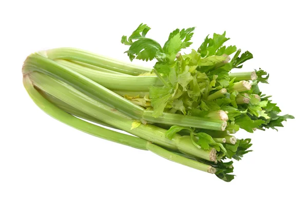 Celer izolovaných na bílém pozadí. — Stock fotografie